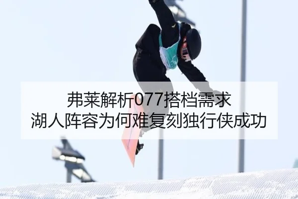 弗莱解析077搭档需求 湖人阵容为何难复刻独行侠成功